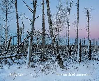 In Search of Amnesia cover