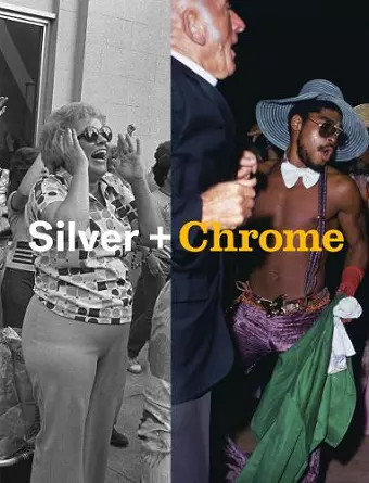 Mitch Epstein: Silver + Chrome cover
