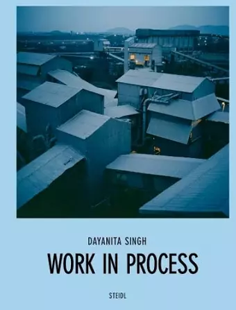 Dayanita Singh: Work in Process cover