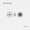 Ken Narula: Iris & Lens cover