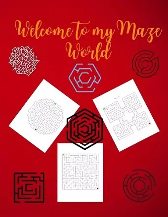 Welcome to My Maze World cover