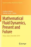 Mathematical Fluid Dynamics, Present and Future cover