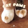 Cat Paws cover