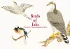 Birds of Edo cover