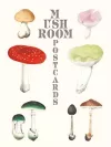 Mushroom Postcards cover