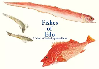 Fishes of Edo cover