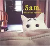 Sam, the Cat with Eyebrows cover