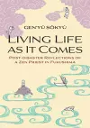 Living Life as it Comes cover