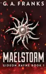 Maelstorm cover