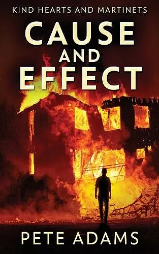 Cause And Effect cover