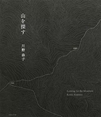 Looking for the Mountain cover