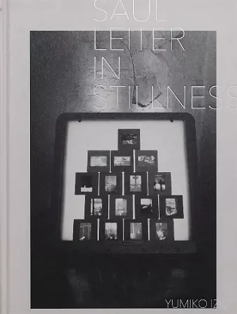 Saul Leiter: In Stillness cover