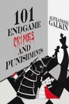 101 Endgame Crimes and Punishments cover
