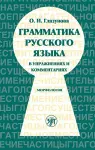 Russian Grammar in Exercises and Comments cover