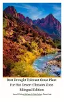 Best Drought Tolerant Grass Plant For Hot Desert Climates Zone Bilingual Edition Hardcover Version cover