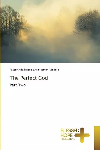 The Perfect God cover