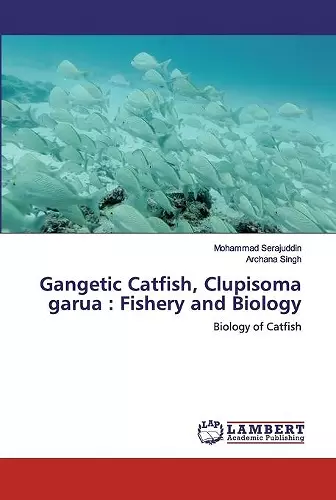 Gangetic Catfish, Clupisoma garua cover