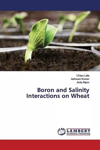 Boron and Salinity Interactions on Wheat cover