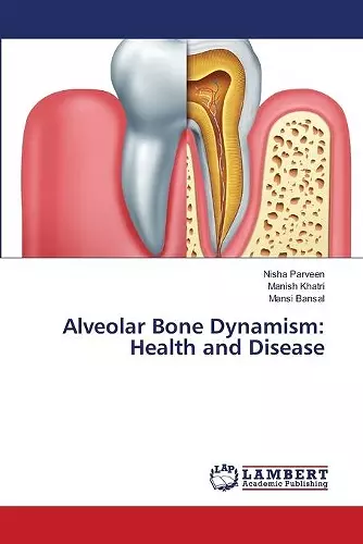 Alveolar Bone Dynamism cover