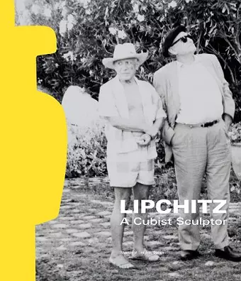 Lipchitz cover