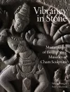 Vibrancy in Stone cover