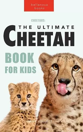 Cheetahs cover