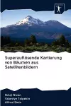 Superauflösende Kartierung von Bäumen aus Satellitenbildern cover