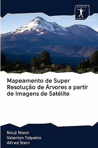 Mapeamento de Super Resolução de Árvores a partir de Imagens de Satélite cover