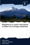 Mappatura in super risoluzione di alberi da immagini satellitari cover