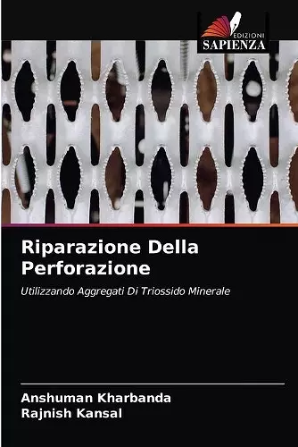 Riparazione Della Perforazione cover