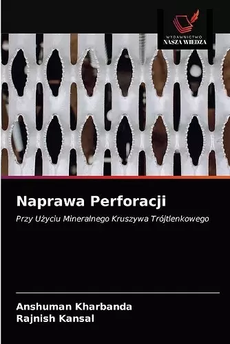 Naprawa Perforacji cover