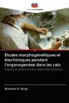 Études morphogénétiques et biochimiques pendant l'organogenèse dans les cals cover