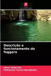 Descrição e funcionamento do foggara cover