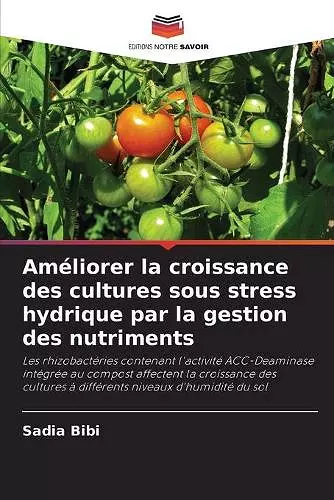 Améliorer la croissance des cultures sous stress hydrique par la gestion des nutriments cover