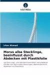 Morus alba Stecklinge, beeinflusst durch Abdecken mit Plastikfolie cover