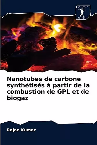 Nanotubes de carbone synthétisés à partir de la combustion de GPL et de biogaz cover