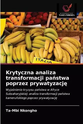 Krytyczna analiza transformacji państwa poprzez prywatyzację cover