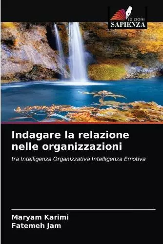 Indagare la relazione nelle organizzazioni cover