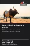 Orecchioni in bovini e bufali cover