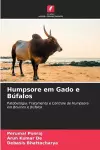 Humpsore em Gado e Búfalos cover