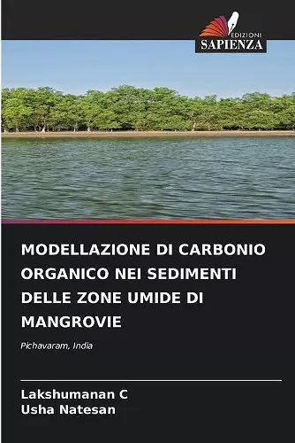Modellazione Di Carbonio Organico Nei Sedimenti Delle Zone Umide Di Mangrovie cover