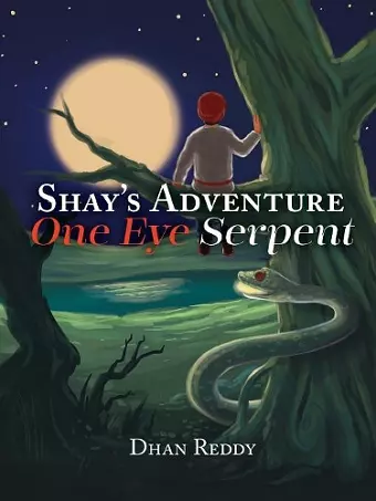 Shay's Adventure cover