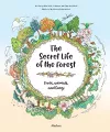 The Secret Life of the Forest: Trees, Animals, and Fungi cover