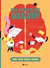 Our Marvelous Memory cover