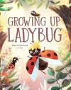 The Life of a Ladybug cover