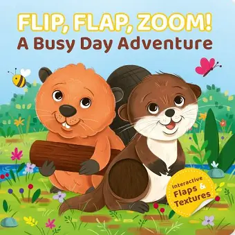 Flip, Flap, Zoom! cover