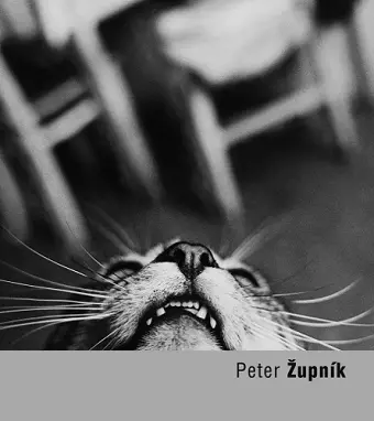 Peter Zupnik cover