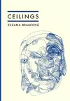 Ceilings cover