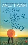 It's Not Right... but it's Okay cover