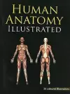 Human Anatomy Illustrated cover